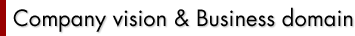 Company vision & Business domain
