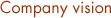 Company vision & Business domain