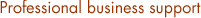 Professional business support