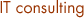 IT consulting