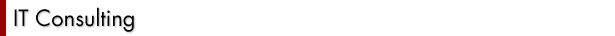 Service for vendor company:
Brokerage service, Sales & marketing support.