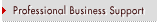 Professional Business Support