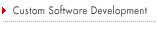 Custom Software Development